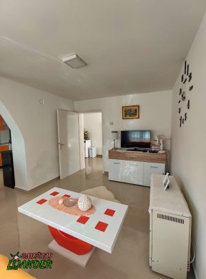 22_Smestaj_Lijander_Josanica_Sokobanja_apartman